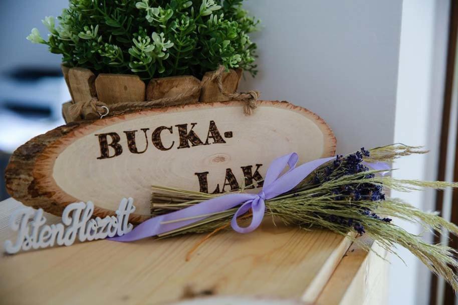 الشقق الفندقية Szabolcsveresmartفي  Bucka-Lak المظهر الخارجي الصورة